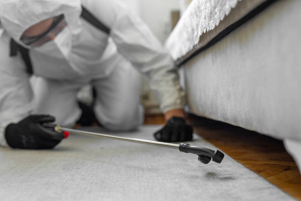 Professional Termite Control technician working in Camden, DE