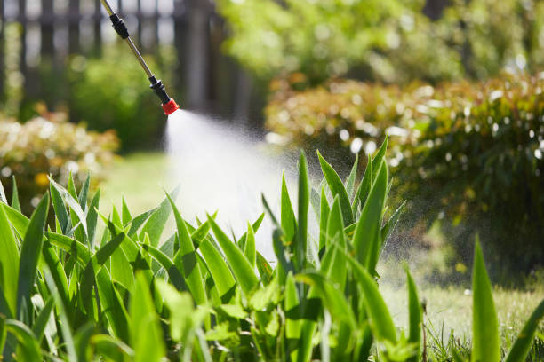 24/7 Emergency Termite Control experts in Camden, DE