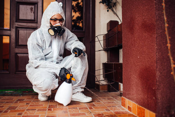 Reliable Termite Control contractor in Camden, DE by Nex Pest Control